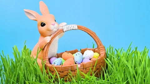 Video of an Easter bunny in green grass Stock Footage 331504353