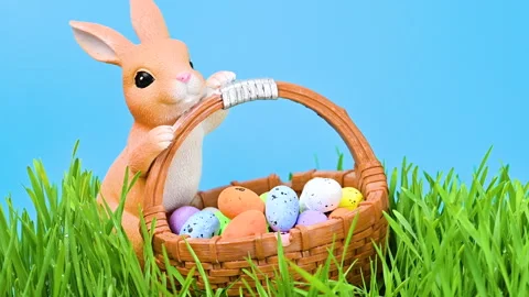 Video of an Easter bunny in green grass Stock Footage 331504376