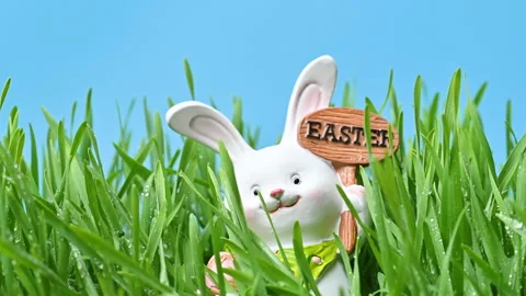 Video of an Easter bunny in green grass Stock Footage 331511854