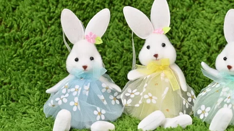 Video of Easter eggs with a bunny Stock Footage 318908648
