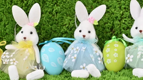 Video of Easter eggs with a bunny Stock Footage 318909164