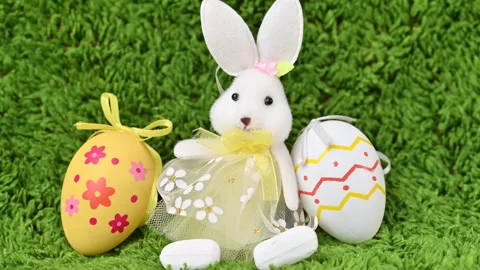 Video of Easter eggs with a bunny Stock Footage 318909264