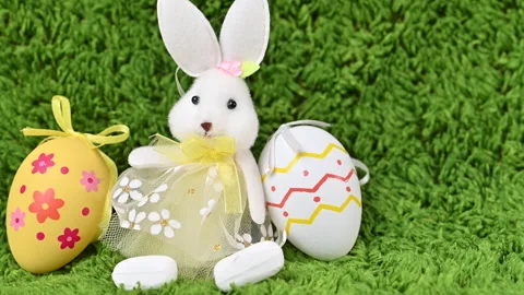 Video of Easter eggs with a bunny Stock Footage 318909661