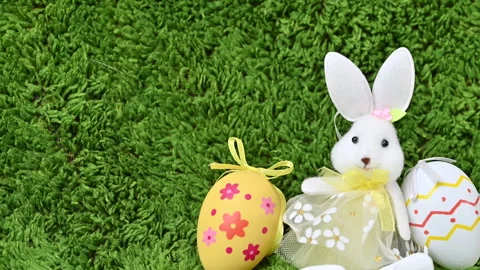 Video of Easter eggs with a bunny Stock Footage 318909873