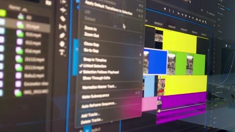 Video Editing Timeline Interface with Audio and Video Tracks 4K Vídeo Stock 341800002