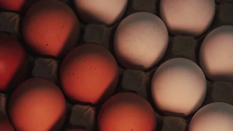 Video of egg carton with white eggs and brown eggs. Stock Footage 262804612