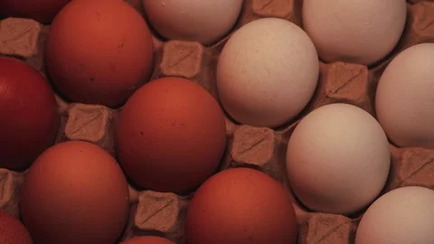 Video of egg carton with white eggs and brown eggs. Stock Footage 262804706