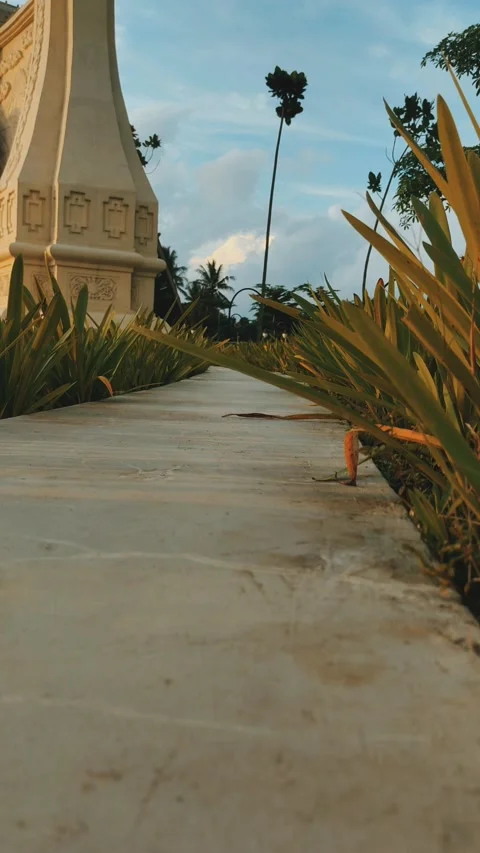 Video of the elephant monument on the Borobudur temple tour in the afternoon Stock Footage 221659176