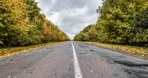 Video of Empty asphalt road through the autumn woods. Autumn scene with road in Stock Footage 266163673