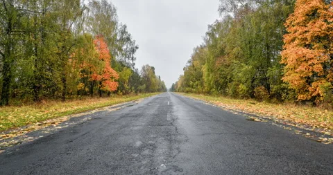 Video of Empty asphalt road through the autumn woods. Autumn scene with road in Stock Footage 274318248