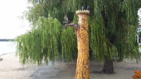 Video of the Enchanted tree on the beach of Laval-Ouest from top to bottom Video stock 256064248