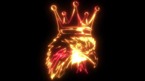 Video of Falcon Eagle head king Stock Footage 274879470