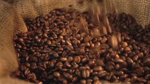 Video of falling coffee beans in real slow motion Stock Footage 79282825
