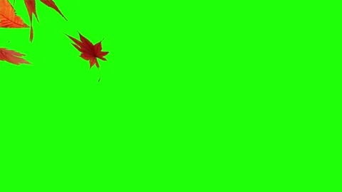 Video of falling leaves and screen transition - 4k Green Stock Footage 319266018