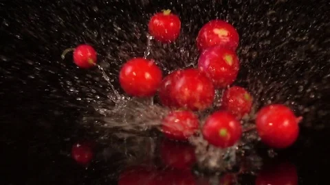 Video of falling radish in real slow motion Stock Footage 79202999