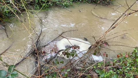 Video of a fast flowing stream that is polluted with sewage Stock Footage 267032747