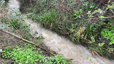Video of a fast flowing stream that is polluted with sewage Stock Footage 267034623