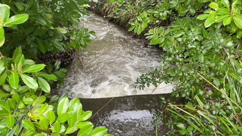 Video of a fast flowing stream running over a small waterfall Stock Footage 267032721