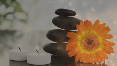 The video features glowing brown particles effervescing on a dark background Stock Footage 328718411