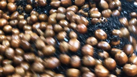 On video filmed the process of roasting chestnuts Stock Footage 108691682