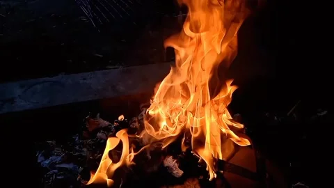 Video of a fire burning rubbish Stock Footage 290997758