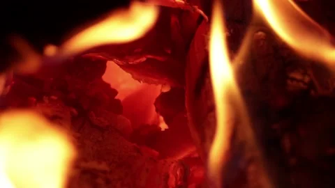 Video of fire with firewood (dry wood) in macro shot, detail. Stock Footage 238968614