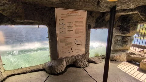 Video of fish migration learning display with rushing river windows Stock Footage 335393145