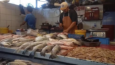 Video of Fish Vendor Cutting Fish at Farmers Market and Serving Customers Stock Footage 304337573
