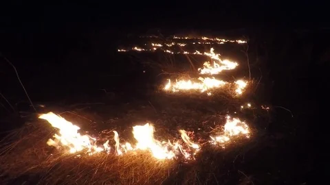Video flames burning dry straw field Stock Footage 73680623