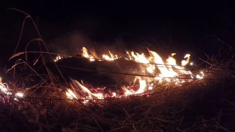 Video flames burning dry straw field Stock Footage 73748082