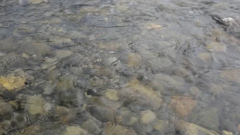 Video of flowing water. Stock Footage 114805277