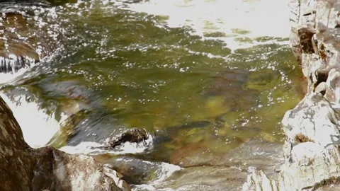 Video, flowing water over rocks. Stock Footage 227139968