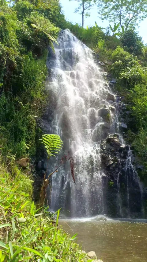 Video footage of a clear waterfall surrounded by rocks and green leaves Stock Footage 287272419