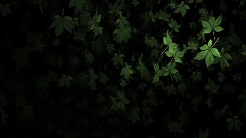 Video footage of falling green leaf particle effects Stock Footage 339319210