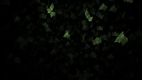Video footage of falling green leaf particle effects Stock Footage 339319377