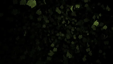 Video footage of falling green leaf particle effects Stock Footage 339321120
