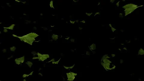 Video footage of falling green leaf particle effects Stock Footage 339322826