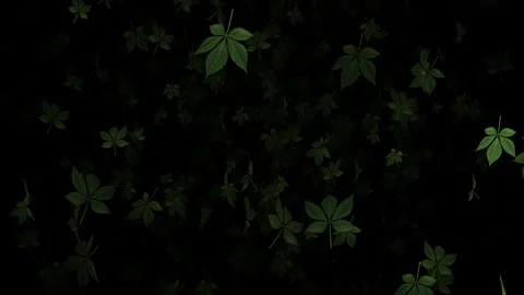 Video footage of falling green leaf particle effects Stock Footage 339322870