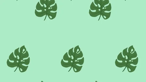 Video Footage with green leaf pattern. Leaf tropical spinning and falling down Stock Footage 274393281