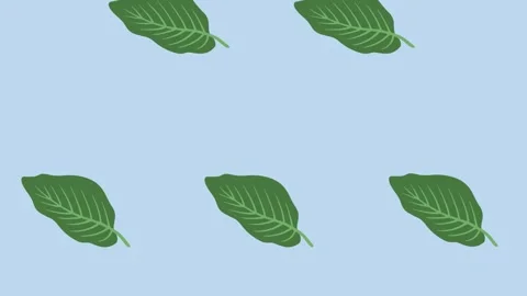 Video Footage with green leaf pattern. Leaf tropical spinning and falling down Stock Footage 274393291