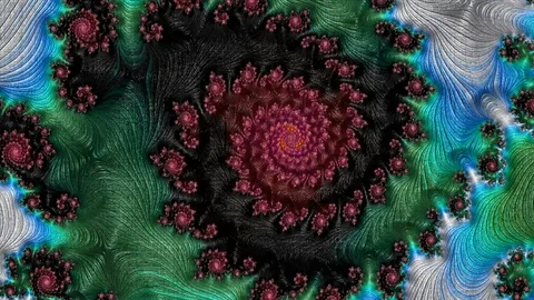 Video fractalis Stock Footage 87049676