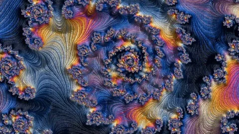 Video fractalis Stock Footage 87051546