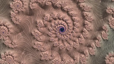 Video fractalis Stock Footage 87052011