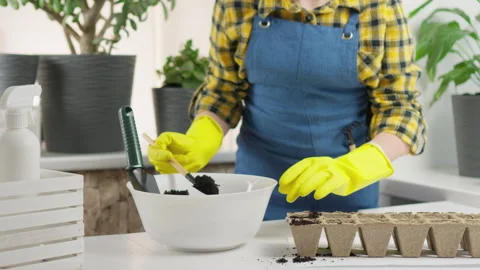 The video fragment demonstrates how easy and fun you can create your own mini Stock Footage 245064205
