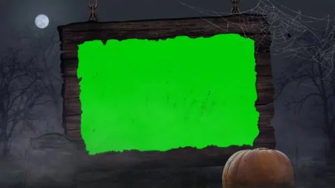 Video frame green screen,halloween effects green screen 4k, Stock-Footage 265149386
