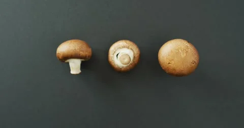 Video of fresh three mushrooms with copy space on grey background Stock Footage 344643602
