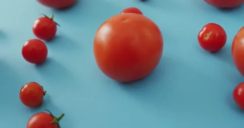 Video of fresh tomatoes and cherry tomatoes on blue background Stock Footage 339412563