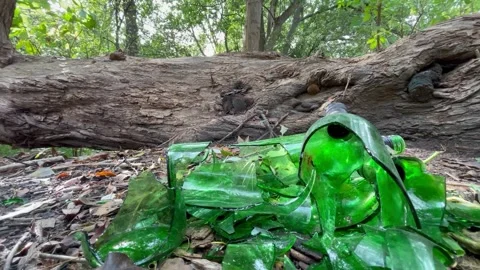 Video of garbage in the forest glass Stock Footage 252354847