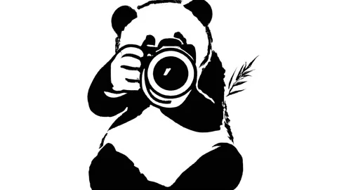 Video graphic illustration of a panda taking pictures Stock-Footage 237463155
