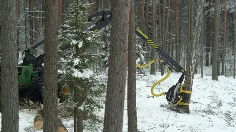 Video of a green forwarder working in the forest in winter Stock Footage 70706013